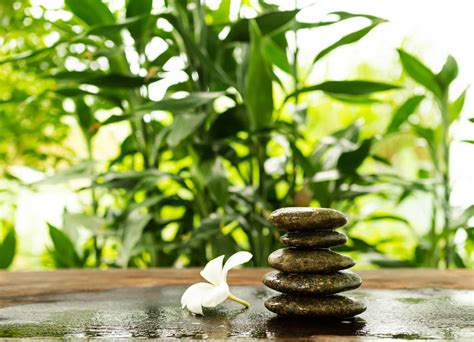 Le Pavillon de la Paix Zen : Un havre de tranquillité et d'élégance traditionnelle !