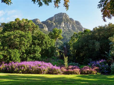 Le jardin botanique de Kirstenbosch, une explosion de couleurs et un paradis pour les amoureux de la nature!