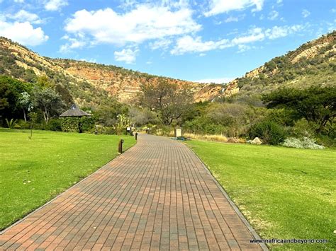 Le Walter Sisulu National Botanical Garden : Une Oasis Verte et Floreale dans le Coeur de Pretoria!